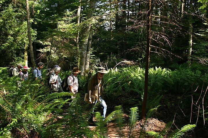 img_7528.jpg