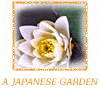 A Japanese Garden